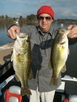 image Sale and Fish 007 -1.jpg